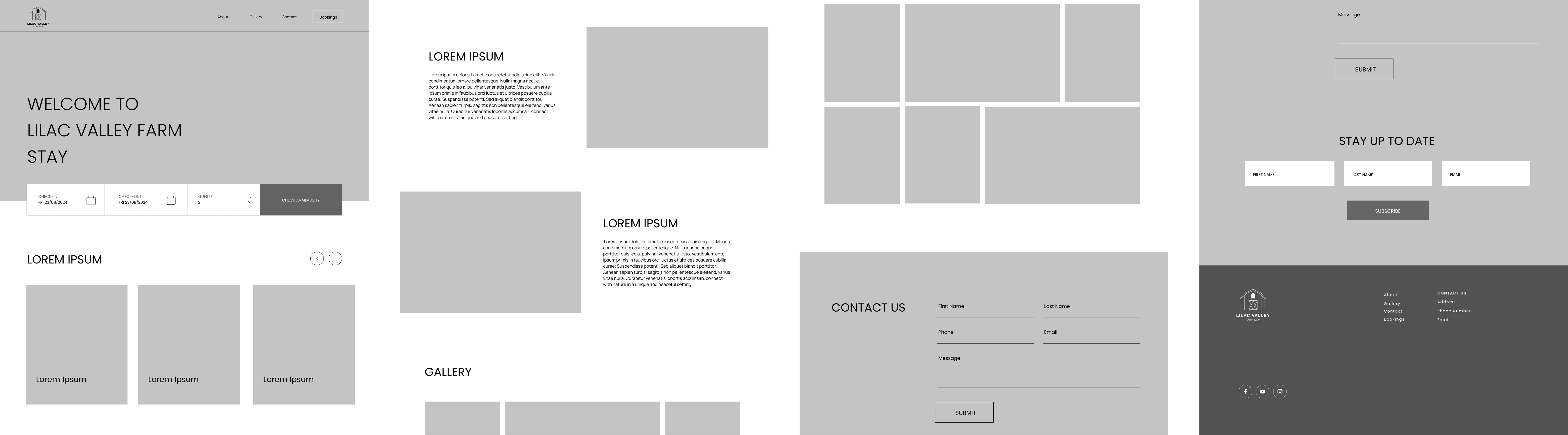 Lilac Valley wireframing